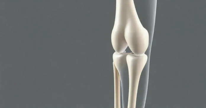 What Are Knee Bones Made Of?